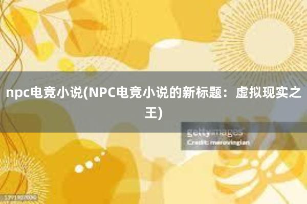 npc电竞小说(NPC电竞小说的新标题：虚拟现实之王)