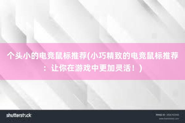 个头小的电竞鼠标推荐(小巧精致的电竞鼠标推荐：让你在游戏中更加灵活！)