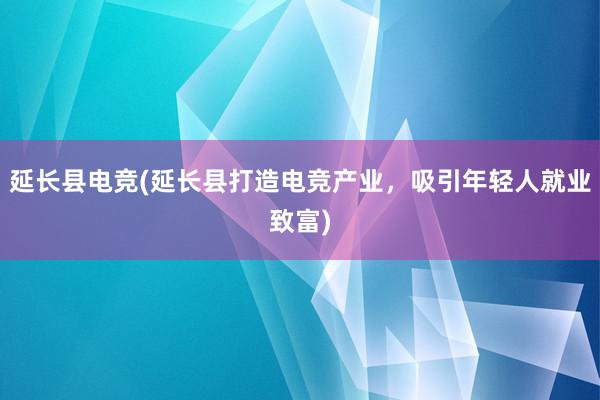 延长县电竞(延长县打造电竞产业，吸引年轻人就业致富)