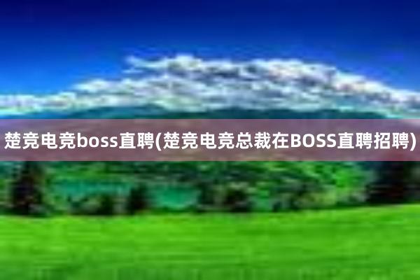 楚竞电竞boss直聘(楚竞电竞总裁在BOSS直聘招聘)