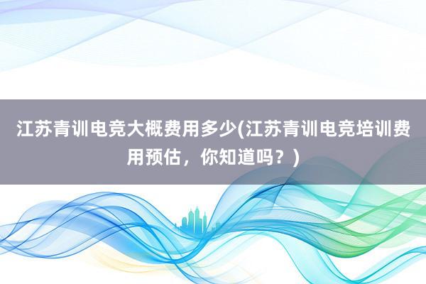 江苏青训电竞大概费用多少(江苏青训电竞培训费用预估，你知道吗？)