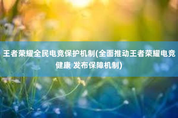 王者荣耀全民电竞保护机制(全面推动王者荣耀电竞健康 发布保障机制)