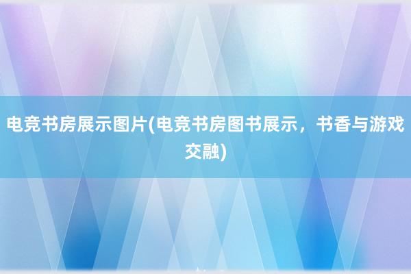 电竞书房展示图片(电竞书房图书展示，书香与游戏交融)