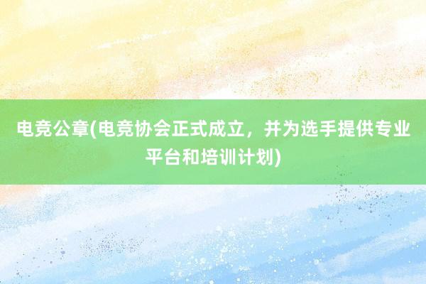 电竞公章(电竞协会正式成立，并为选手提供专业平台和培训计划)