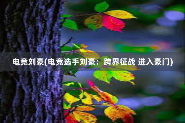 电竞刘豪(电竞选手刘豪：跨界征战 进入豪门)