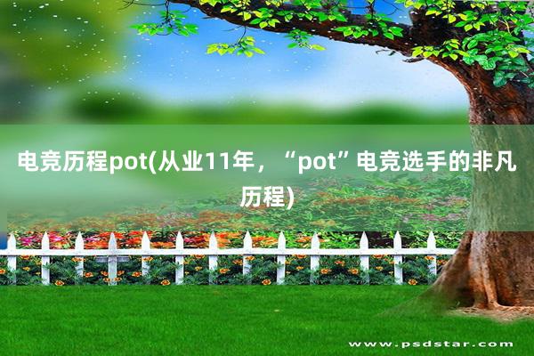 电竞历程pot(从业11年，“pot”电竞选手的非凡历程)