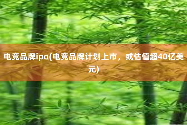 电竞品牌ipo(电竞品牌计划上市，或估值超40亿美元)