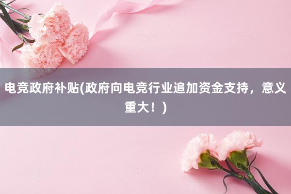 电竞政府补贴(政府向电竞行业追加资金支持，意义重大！)