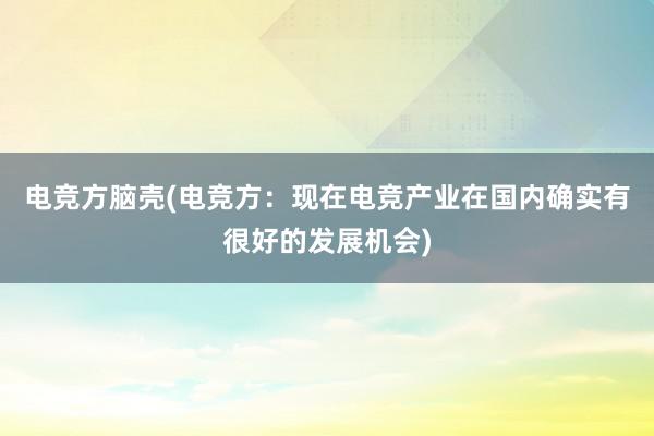 电竞方脑壳(电竞方：现在电竞产业在国内确实有很好的发展机会)