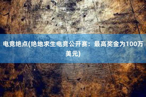 电竞绝点(绝地求生电竞公开赛：最高奖金为100万美元)