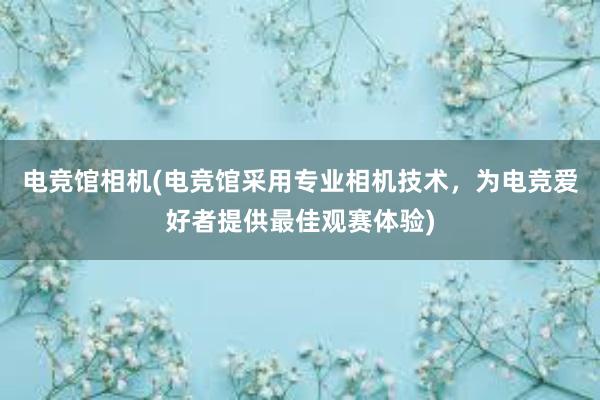 电竞馆相机(电竞馆采用专业相机技术，为电竞爱好者提供最佳观赛体验)