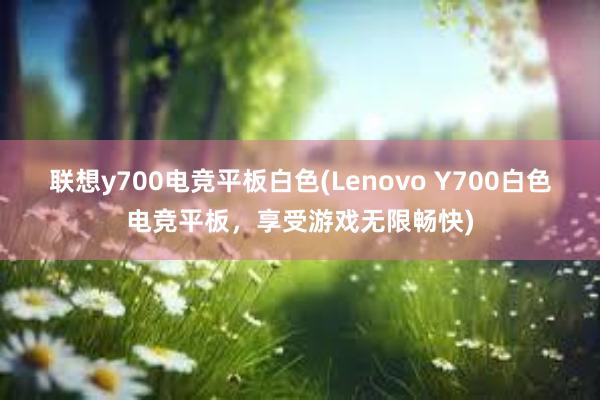 联想y700电竞平板白色(Lenovo Y700白色电竞平板，享受游戏无限畅快)