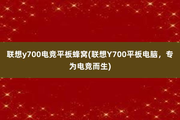 联想y700电竞平板蜂窝(联想Y700平板电脑，专为电竞而生)