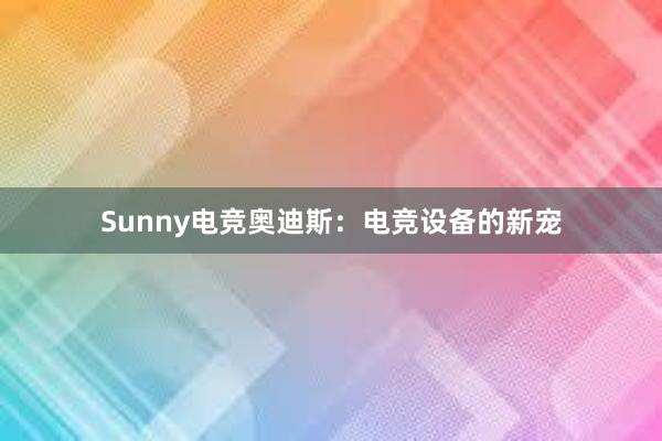 Sunny电竞奥迪斯：电竞设备的新宠