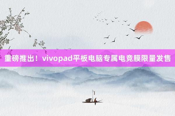 重磅推出！vivopad平板电脑专属电竞膜限量发售