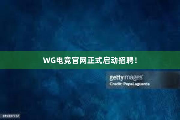 WG电竞官网正式启动招聘！