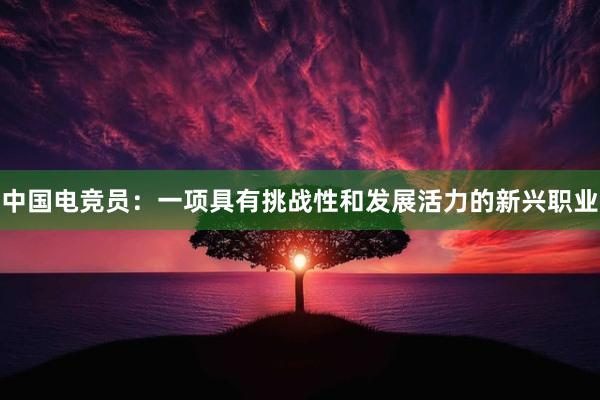 中国电竞员：一项具有挑战性和发展活力的新兴职业