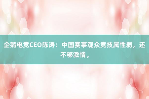 企鹅电竞CEO陈涛：中国赛事观众竞技属性弱，还不够激情。