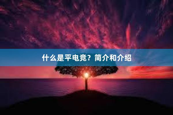 什么是平电竞？简介和介绍