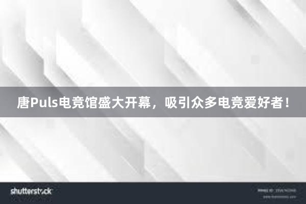 唐Puls电竞馆盛大开幕，吸引众多电竞爱好者！