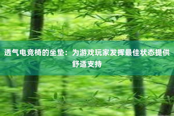 透气电竞椅的坐垫：为游戏玩家发挥最佳状态提供舒适支持