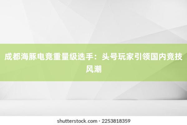 成都海豚电竞重量级选手：头号玩家引领国内竞技风潮