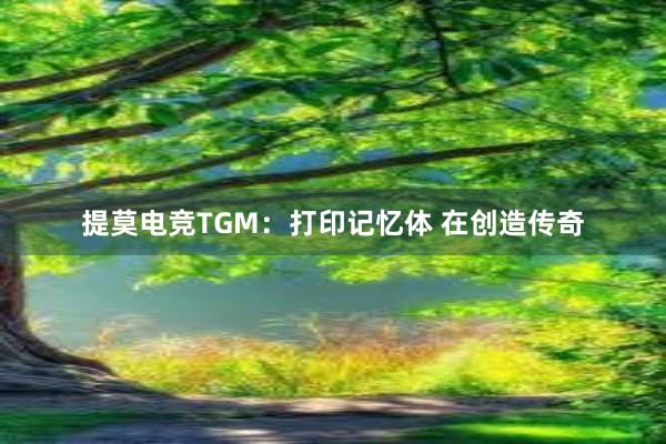 提莫电竞TGM：打印记忆体 在创造传奇