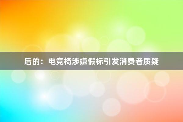 后的：电竞椅涉嫌假标引发消费者质疑