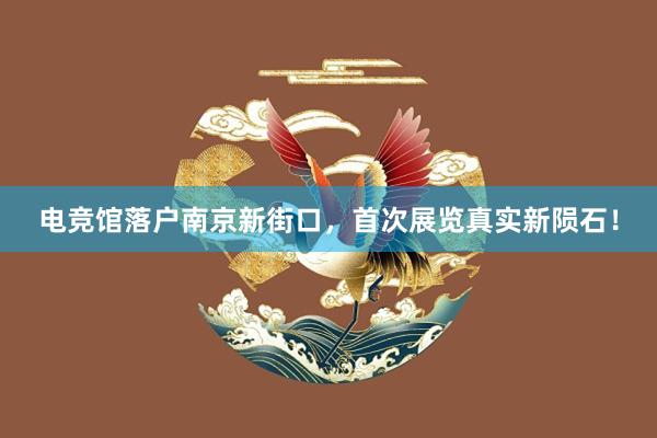 电竞馆落户南京新街口，首次展览真实新陨石！