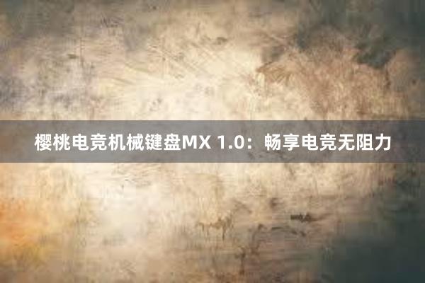 樱桃电竞机械键盘MX 1.0：畅享电竞无阻力