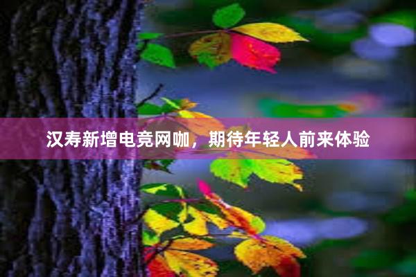 汉寿新增电竞网咖，期待年轻人前来体验