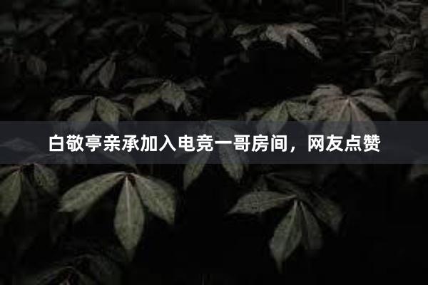 白敬亭亲承加入电竞一哥房间，网友点赞