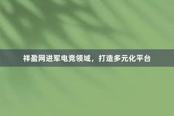 祥盈网进军电竞领域，打造多元化平台