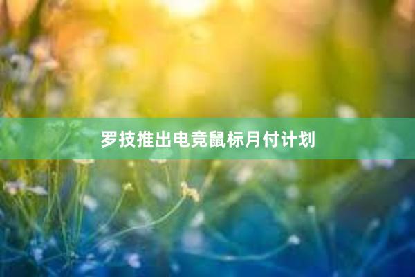 罗技推出电竞鼠标月付计划